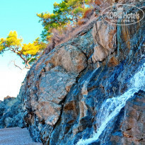 фото из отзыва ID 1401582