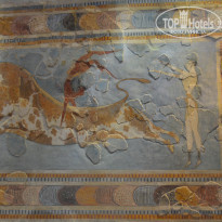 фото из отзыва ID 1401788