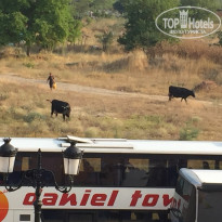 фото из отзыва ID 1401830