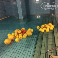 фото из отзыва ID 1402005