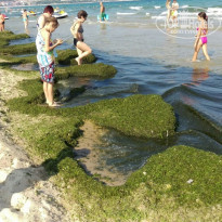 фото из отзыва ID 1402012