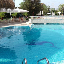 фото из отзыва ID 1402012