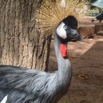 фото из отзыва ID 1402059