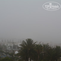 фото из отзыва ID 1402059