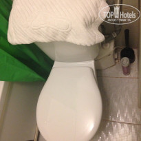 фото из отзыва ID 1402140