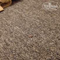 фото из отзыва ID 1402140