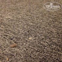 фото из отзыва ID 1402140