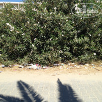 фото из отзыва ID 1400157