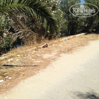 фото из отзыва ID 1400157