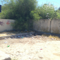 фото из отзыва ID 1400157