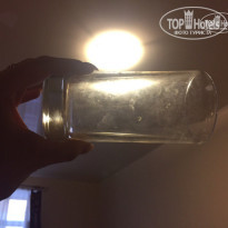 фото из отзыва ID 1402282