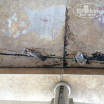 фото из отзыва ID 1402395