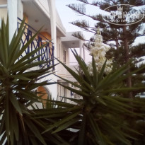 фото из отзыва ID 1402419