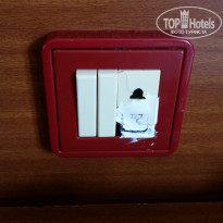 фото из отзыва ID 1402461