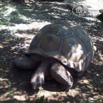 фото из отзыва ID 1402542