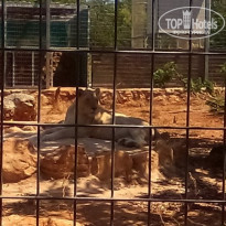 фото из отзыва ID 1402542