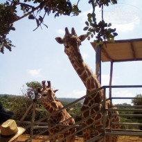 фото из отзыва ID 1402542