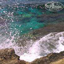 фото из отзыва ID 1402542