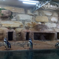 фото из отзыва ID 1402542