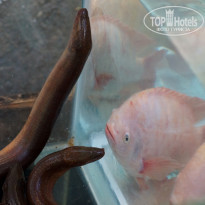 фото из отзыва ID 1402590