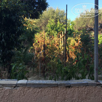 фото из отзыва ID 1402612