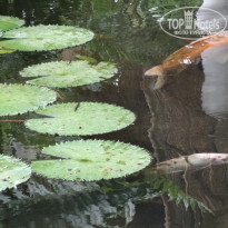 фото из отзыва ID 1402665