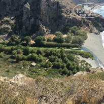 фото из отзыва ID 1402791