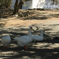 фото из отзыва ID 1402791