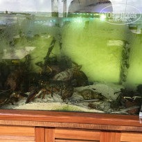 фото из отзыва ID 1402791