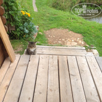 фото из отзыва ID 1402907