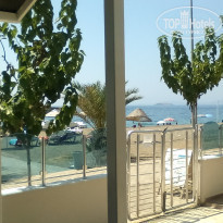 фото из отзыва ID 1403073