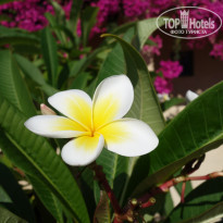 фото из отзыва ID 1403088