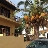 фото из отзыва ID 1403225