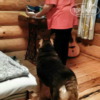 фото из отзыва ID 1403204