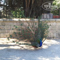 фото из отзыва ID 1403322