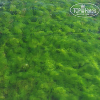 фото из отзыва ID 1403322