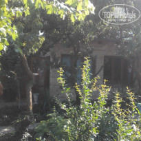 фото из отзыва ID 1403377