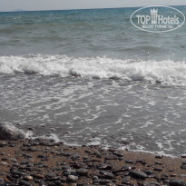 фото из отзыва ID 1403377