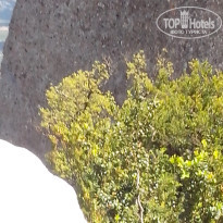 фото из отзыва ID 1403461