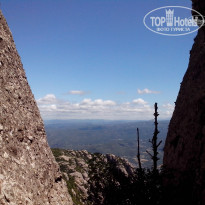 фото из отзыва ID 1403461