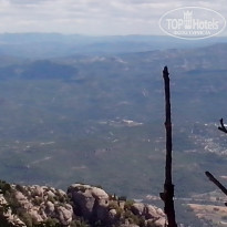 фото из отзыва ID 1403461