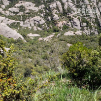 фото из отзыва ID 1403461