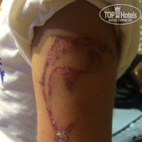 фото из отзыва ID 1403490