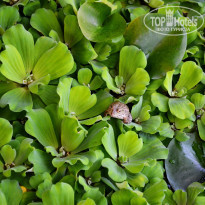 фото из отзыва ID 1403573