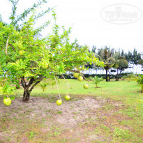 фото из отзыва ID 1403573