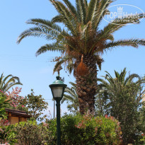 фото из отзыва ID 1403583