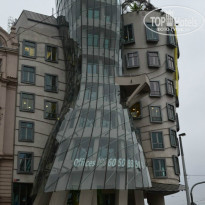 фото из отзыва ID 1403636