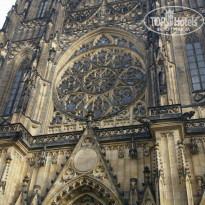 фото из отзыва ID 1403636