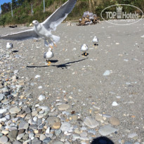 фото из отзыва ID 1403696