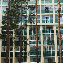 фото из отзыва ID 1403752